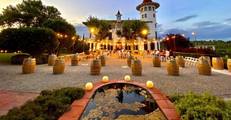 Penedès: Discovery Tour with Cava Tasting - What We Think of the Experience