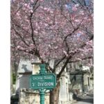 Père Lachaise Cemetery Watercolor Postcard Workshop in Paris - What to Expect and What Not to Expect