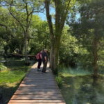 Perfect for Cruise Ship Guests: Split Walking Tour & Krka - Who Will Love This Tour?
