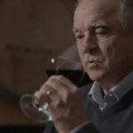 Perugia Winery Visit & Tasting near the Lake Trasimeno - Final Thoughts: Is This Tour Right for You?