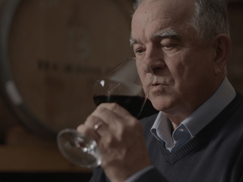 Perugia Winery Visit & Tasting near the Lake Trasimeno - Final Thoughts: Is This Tour Right for You?