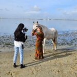 Photo Session With Horses on The Beach or in The Countryside - The Experience in Detail
