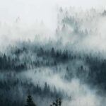 Photo tour through the Black Forest  the highlights - Final Thoughts: Who Should Book?