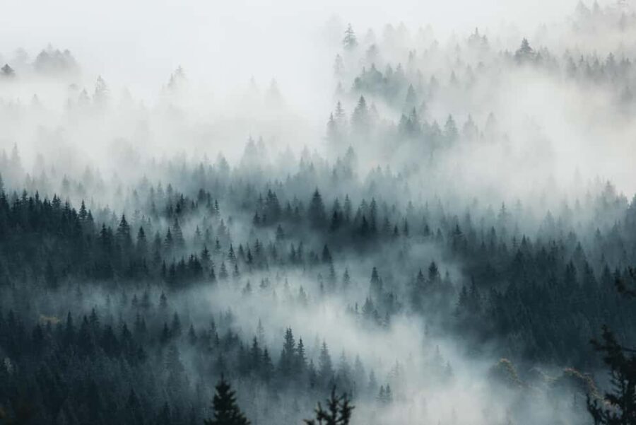 Photo tour through the Black Forest the highlights - Final Thoughts: Who Should Book?