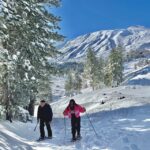 Piano Provenzana: Guided Mt. Etna Snowshoeing Trek - Key Points