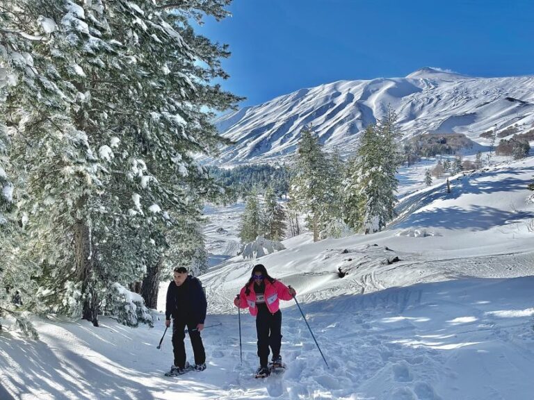 Piano Provenzana: Guided Mt. Etna Snowshoeing Trek - Key Points