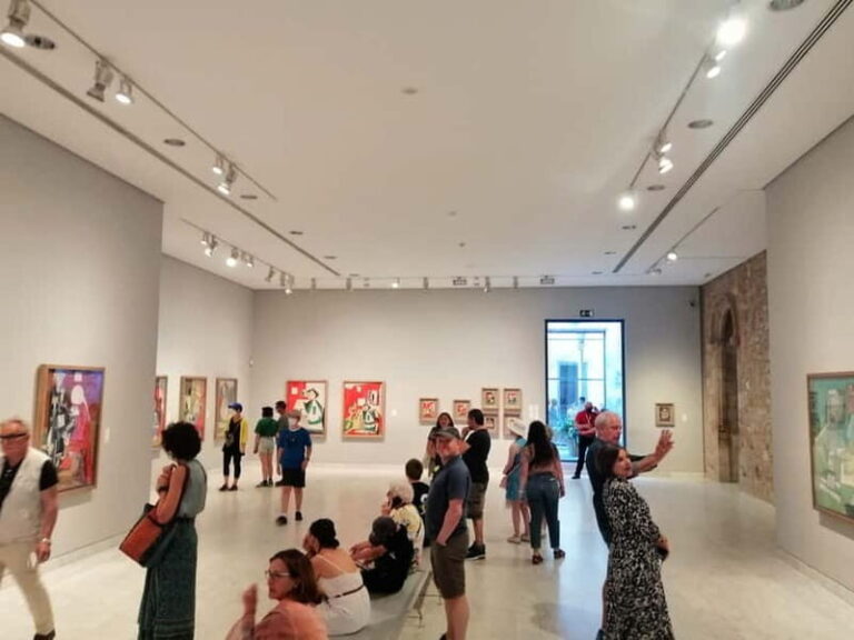 Picasso Museum, Walking Tour & Optional Wine Tasting Upgrade - Who Will Love This Tour?
