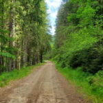 Pick-up from Cluj: e-Mountain Bike Tour Lake Dragan - The Experience and the Guides