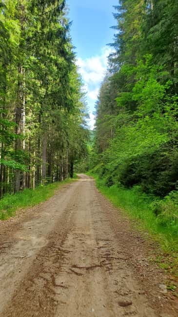 Pick-up from Cluj: e-Mountain Bike Tour Lake Dragan - The Experience and the Guides