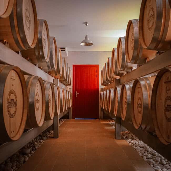 Picnic at the Château Palais Cardinal - The Picnic: A Moment of Culinary Relaxation