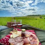 Picnic in the organic vineyards of Brunello - Practical Tips for Your Picnic Experience