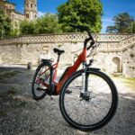 Picnic next to Lavender fields by e-bike - Practical Details and Tips