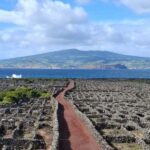 Pico Island: Private Highlights Tour - The Value of This Tour