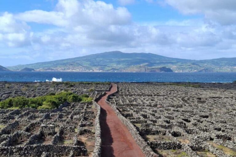 Pico Island: Private Highlights Tour - The Value of This Tour