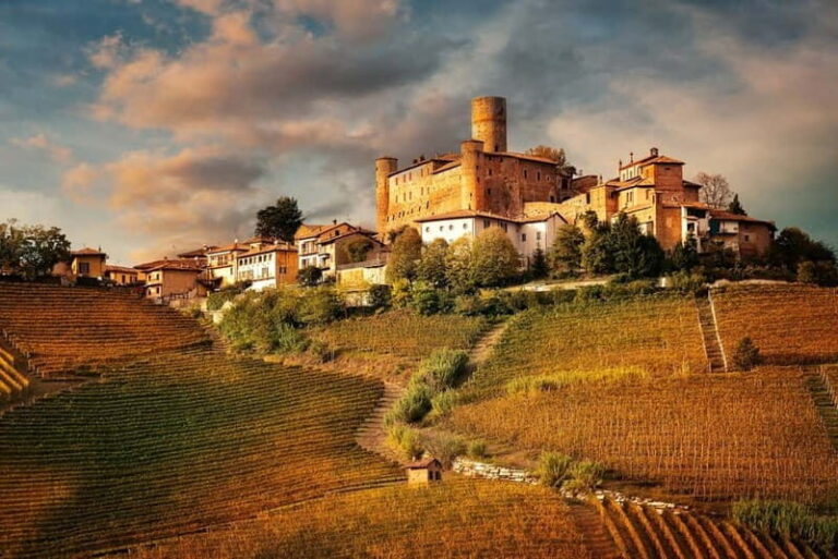 Piedmont: Winery Tour, Taste Barolo, Barbaresco & Local Food - Who Will Love This Tour?
