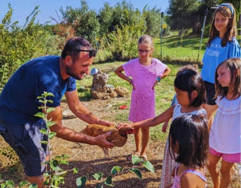 Pienza: Sheep and Chickens Tour w/Gourmet Lunch at Farmhouse - Final Thoughts