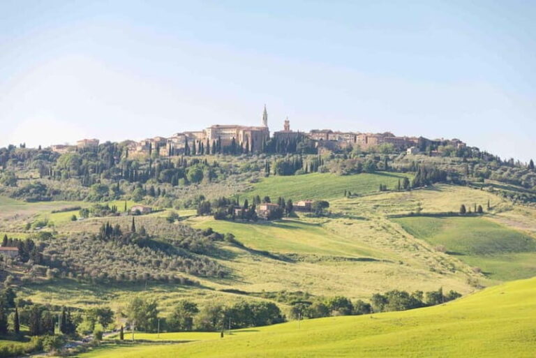 Pienza: tour of the mill with oil and wine tasting - Who Will Love This Tour?