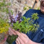 Pienza: Typical Gourmet Lunch at Ancient Tuscan Farmhouse - The Itinerary and Food