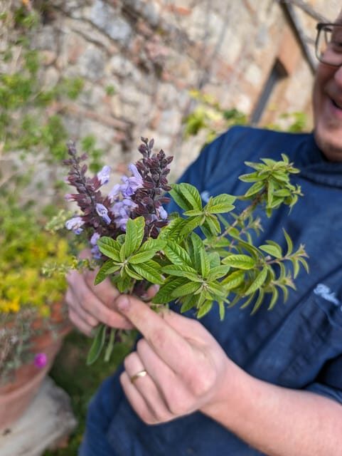 Pienza: Typical Gourmet Lunch at Ancient Tuscan Farmhouse - The Itinerary and Food