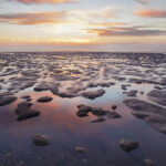 Pieterburen: Wadden Sea Mudflats Guided Walking Tour - Why this tour is a great value