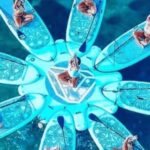 Pilates on stand up paddle and tour with pick up point - Who Will Love This Tour?