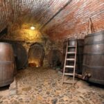 Pilsen: Brewery Museum Entrance with a Glass of Beer - Who Would Enjoy This Tour Most?