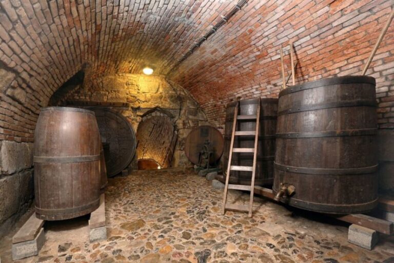 Pilsen: Brewery Museum Entrance with a Glass of Beer - Who Would Enjoy This Tour Most?