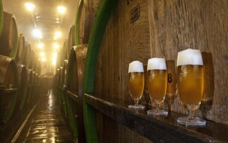 Pilsner Brewery & Nizbor Glass Factory Combination Tour - Why This Tour Works Well