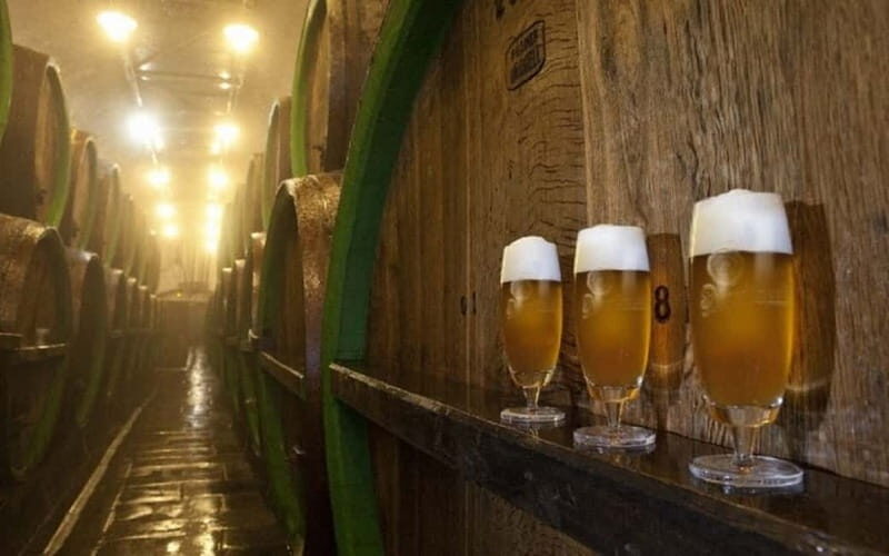 Pilsner Brewery & Nizbor Glass Factory Combination Tour - Why This Tour Works Well