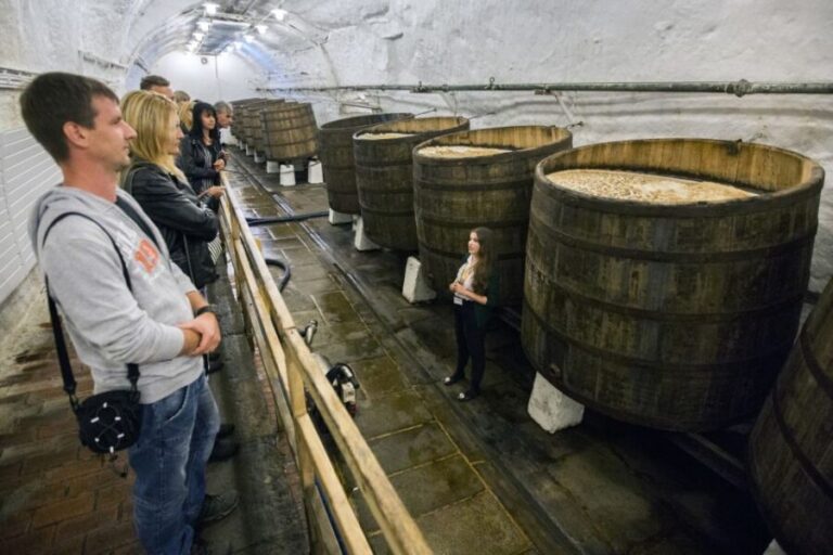 Pilsner brewery tour incl beer tasting & Czech town Pilsen - The Itinerary: What to Expect