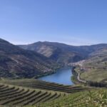 Pinhão: Douro Valley with Wine Tasting, Boat Trip and Lunch - Final Thoughts: Is It Worth It?