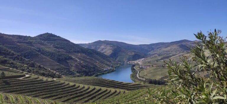 Pinhão: Douro Valley with Wine Tasting, Boat Trip and Lunch - Final Thoughts: Is It Worth It?