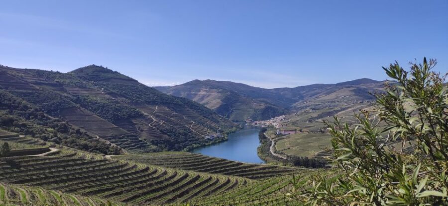 Pinhão: Douro Valley with Wine Tasting, Boat Trip and Lunch - Final Thoughts: Is It Worth It?
