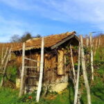 Pinot Noir & Pinot Wine Tour to Baden-Württemberg - Key Points