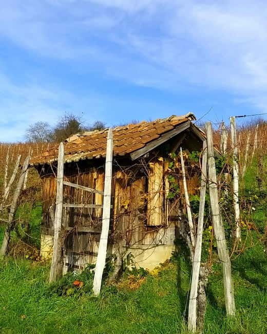 Pinot Noir & Pinot Wine Tour to Baden-Württemberg - Key Points