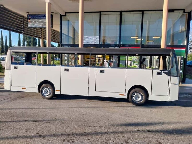 Pisa: The Electric Minibus Experience - Who Will Love This Tour?
