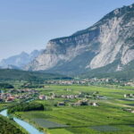 Pisoni: Stories of wine and flavors - Final thoughts