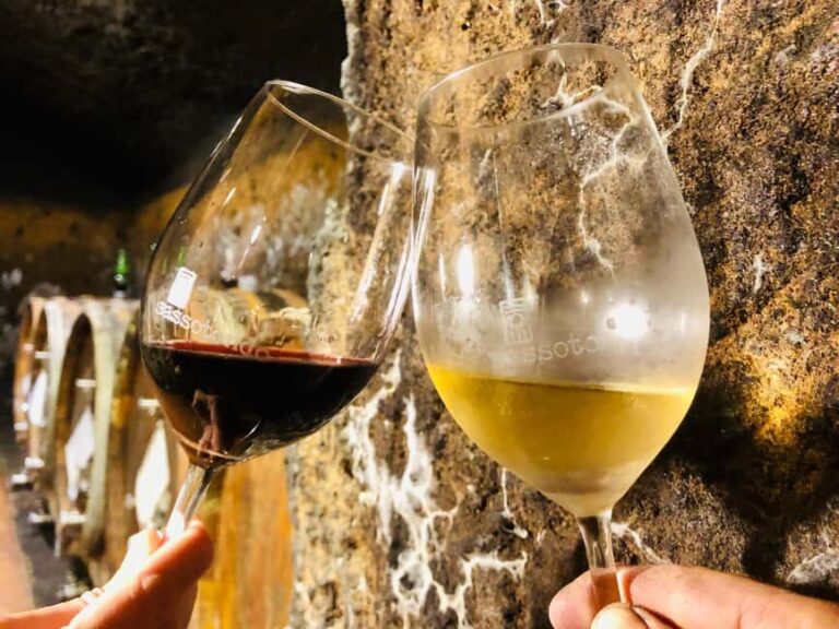 Pitigliano: Ciliegiolo Grape Wine Tasting - The Wines and Pairings