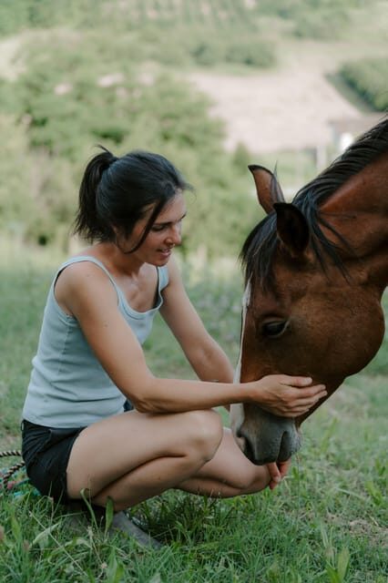 Playful Activities with Animals - Practical Tips & Considerations
