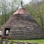 Podgorica: Biogradska Gora, Moraca and Kolasin Day Tour - A Closer Look at the Itinerary