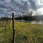 Podgorica: Panoramic Wine Tasting & Snack - The Sum Up