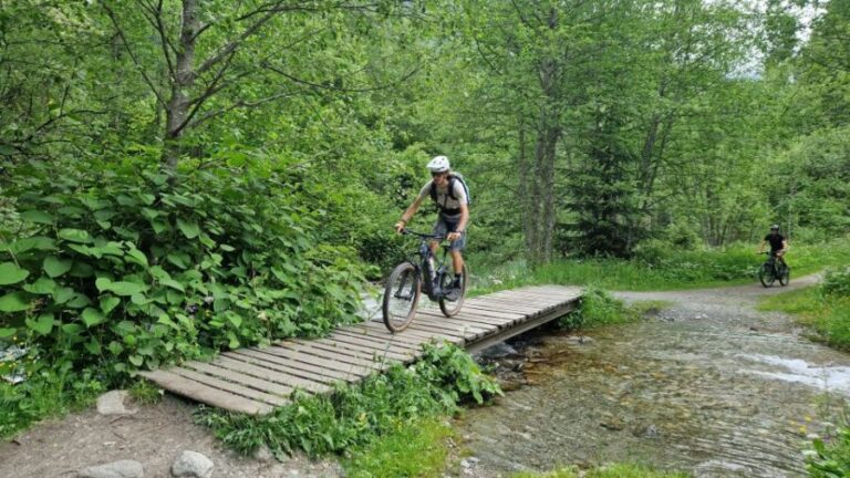 Point of view on the glaciers of Chamonix by ebike - Exploring the Itinerary: What to Expect