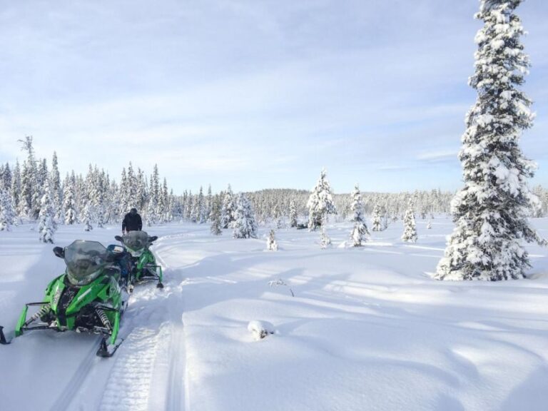 Polar Nature Tour on Snowmobile - Practical Tips for Your Snowmobile Adventure
