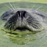 POLARIA AND FAMILY FRIENDLY CITY WALK - Why This Tour Works Well