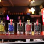 Polish Gin Tasting Tour in Gdansk - Who Will Love This Tour?