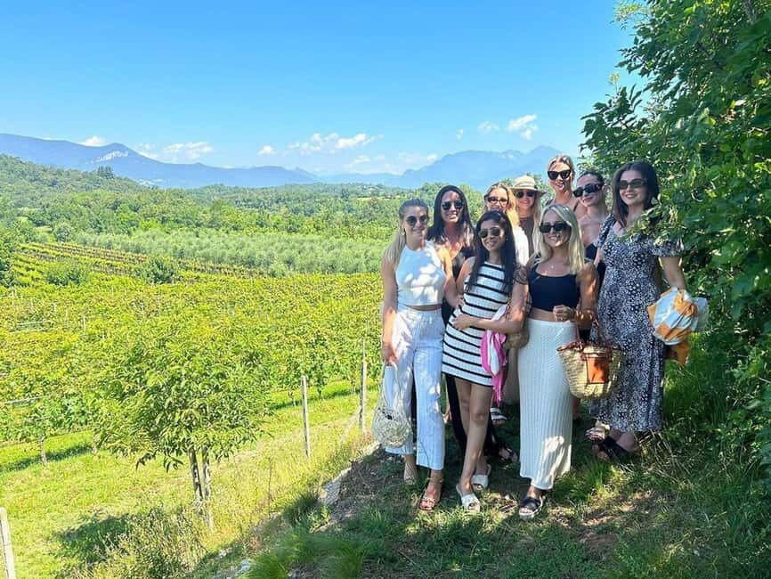 Polpenazze: Winery Tour with 4 Valtenesi Rosè Wines and Food - The Experience: Pros and Cons