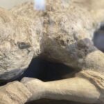 Pompeii: Guided Tour with Archaeologist with max. 12 People - What Sets This Tour Apart?