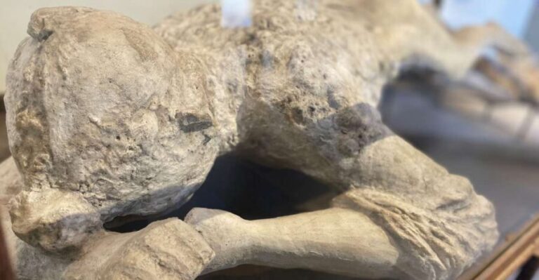 Pompeii: Guided Tour with Archaeologist with max. 12 People - What Sets This Tour Apart?