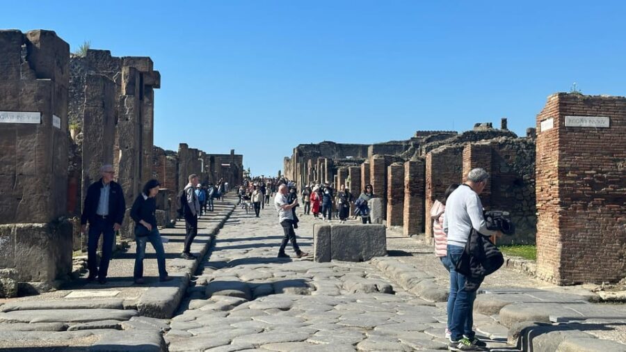 Pompeii Guided Tour with Skip the Line Entry - The Practicalities