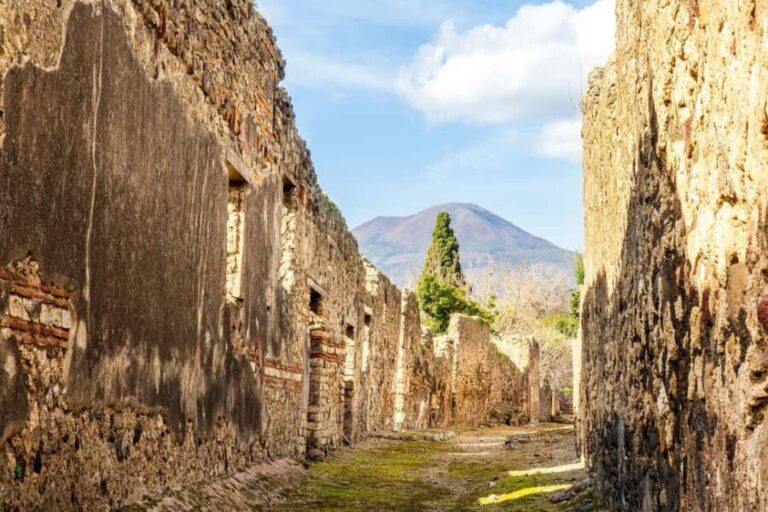 Pompeii: Guided Tour with Skip-the-Line Entry - Who is This Tour For?
